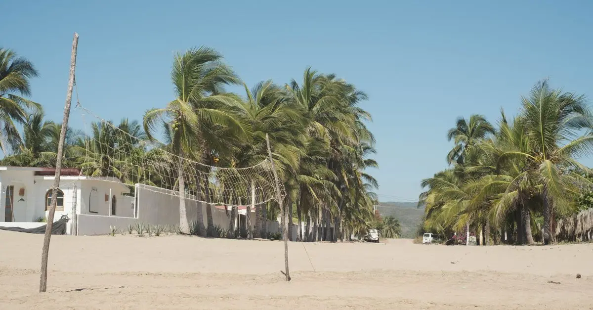 Comparatif : Volley en salle vs Beach-volley